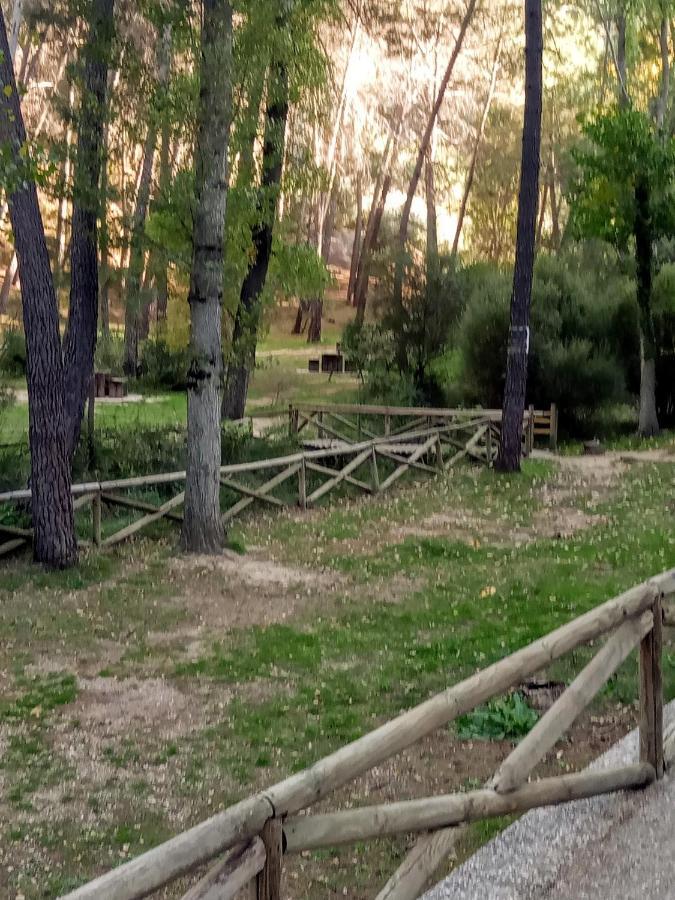 Casa Rural San Francisco I Siles 外观 照片
